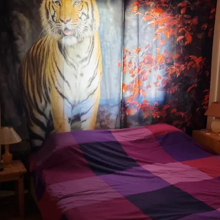 #pissouri #писсури 1+1bed Pissouri