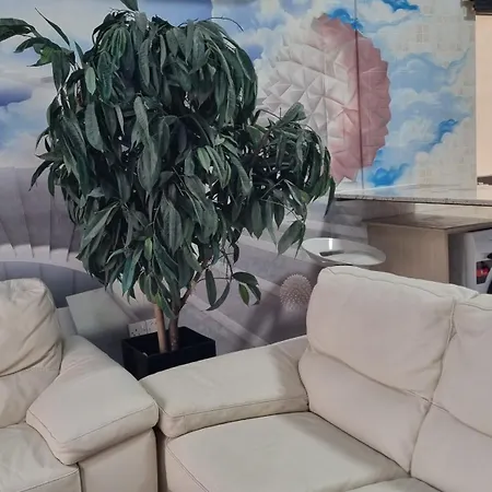 #pissouri #писсури 1+1bed