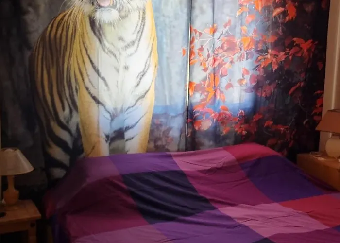 #pissouri #писсури 1+1bed بيسوري