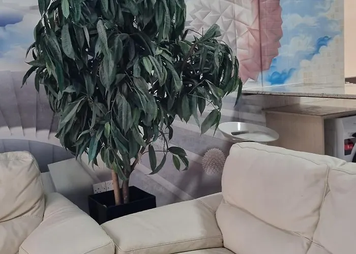 #pissouri #писсури 1+1bed